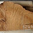 Madrona burl slab, approx. 800 x 610 x 40 mm, 12464