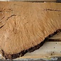 Madrona burl slab, approx. 800 x 610 x 40 mm, 12464
