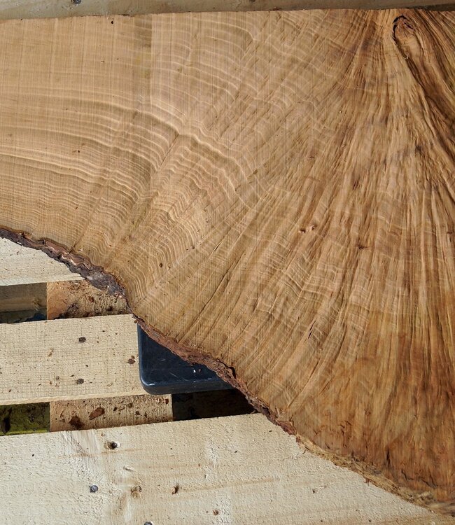 Madrona Maserplatte, ca. 780 x 580 x 40 mm, 12463