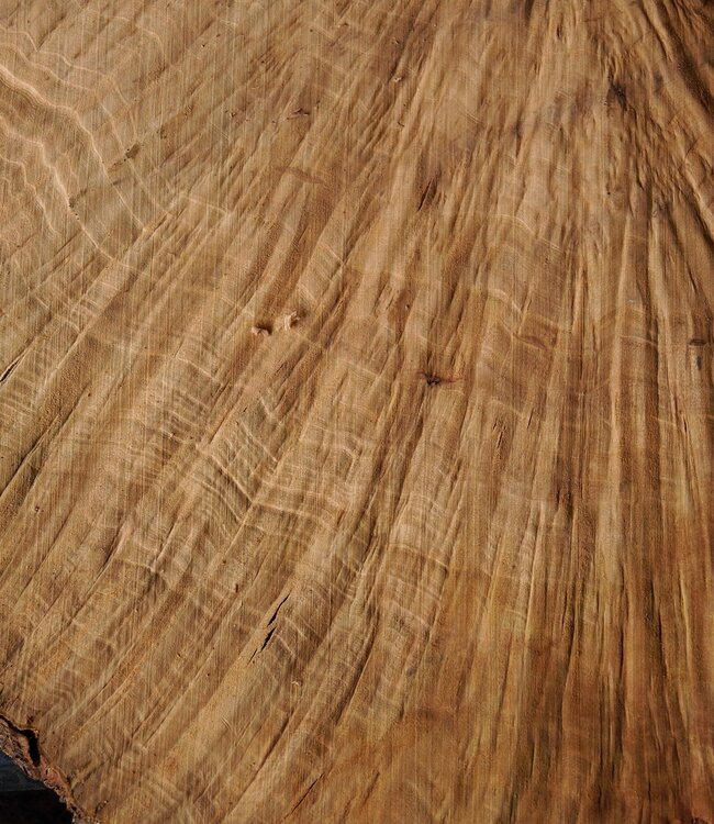 Madrona burl slab, approx. 780 x 580 x 40 mm, 12463