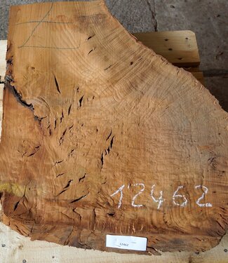 Madrona burl slab, approx. 800 x 660 x 40 mm, 12462