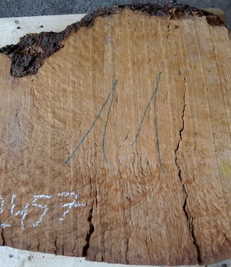 Madrona burl slab, approx. 870 x 750 x 40 mm, 12457