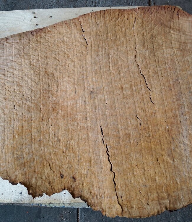 Madrona Maserplatte, ca. 870 x 750 x 40 mm, 12457