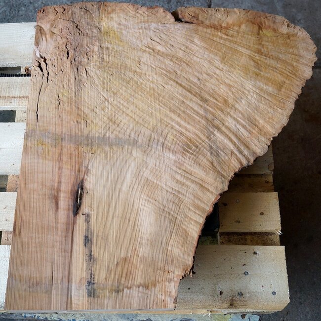 Madrona Maserplatte, ca. 780 x 700 x 40 mm, 12454