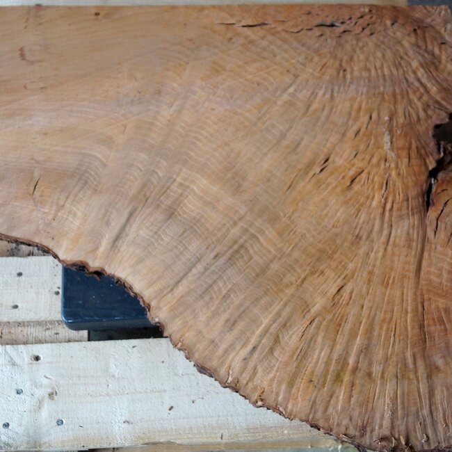 Madrona Maserplatte, ca. 800 x 670 x 40 mm, 12451