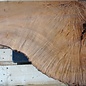 Madrona burl slab, approx. 800 x 670 x 40 mm, 12451