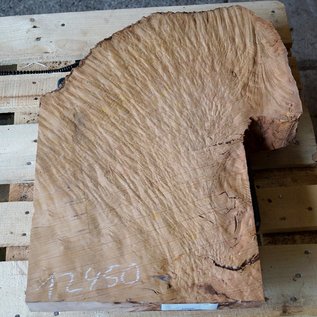 Madrona burl slab, approx. 420 x 670 x 40 mm, 12450