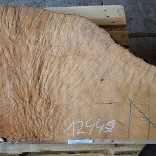 Madrona burl slab, approx. 880 x 720 x 40 mm, 12449