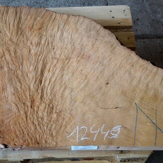 Madrona burl slab, approx. 880 x 720 x 40 mm, 12449