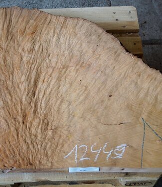Madrona burl slab, approx. 880 x 720 x 40 mm, 12449