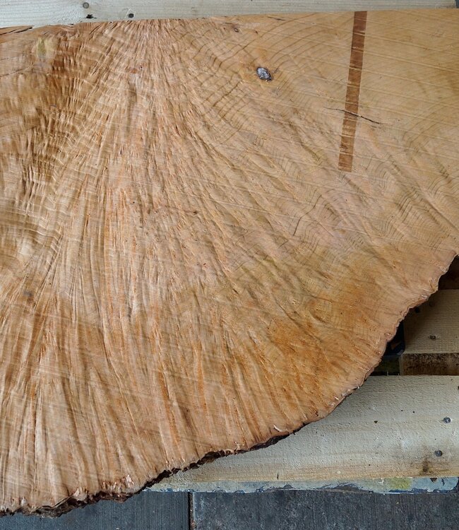 Madrona burl slab, approx. 880 x 720 x 40 mm, 12449