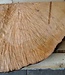 Madrona burl slab, approx. 880 x 720 x 40 mm, 12449