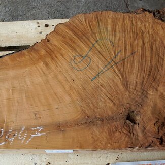 Madrona burl slab, approx. 920 x 660 x 40 mm, 12447
