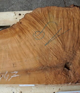 Madrona burl slab, approx. 920 x 660 x 40 mm, 12447
