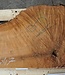 Madrona burl slab, approx. 920 x 660 x 40 mm, 12447