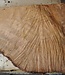 Madrona burl slab, approx. 920 x 660 x 40 mm, 12447