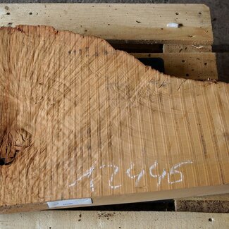 Madrona burl slab, approx. 760 x 510 x 40 mm, 12446