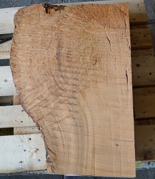 Madrona burl slab, approx. 760 x 510 x 40 mm, 12445
