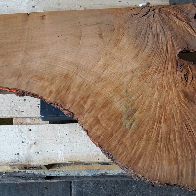 Madrona burl slab, approx. 900 x 730 x 40 mm, 12444