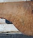 Madrona burl slab, approx. 900 x 730 x 40 mm, 12444