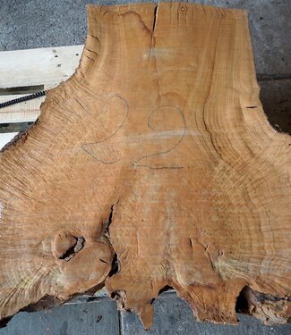 Madrona burl slab, approx. 1050 x 1050 x 40 mm, 12443