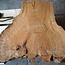 Madrona burl slab, approx. 1050 x 1050 x 40 mm, 12443