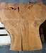 Madrona burl slab, approx. 1050 x 1050 x 40 mm, 12443