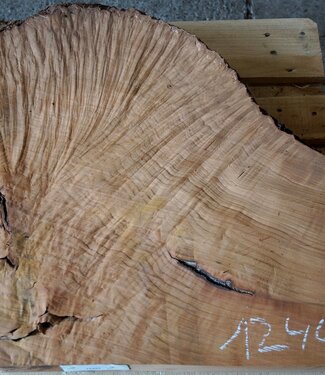 Madrona burl slab, approx. 800 x 660 x 40 mm, 12441