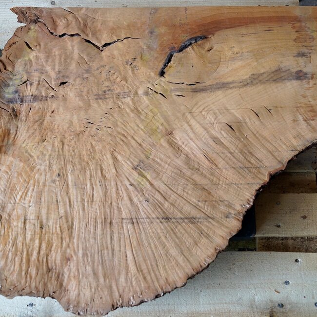 Madrona Maserplatte, ca. 800 x 660 x 40 mm, 12441