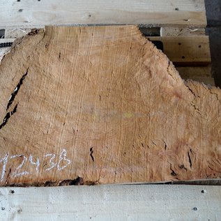 Madrona burl slab, approx. 800 x 450 x 40 mm, 12438