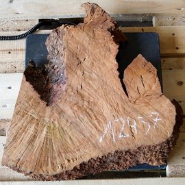 Madrona burl slab, approx. 460 x 490 x 40 mm, 12437
