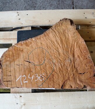 Madrona burl slab, approx. 630 x 500 x 40 mm, 12436