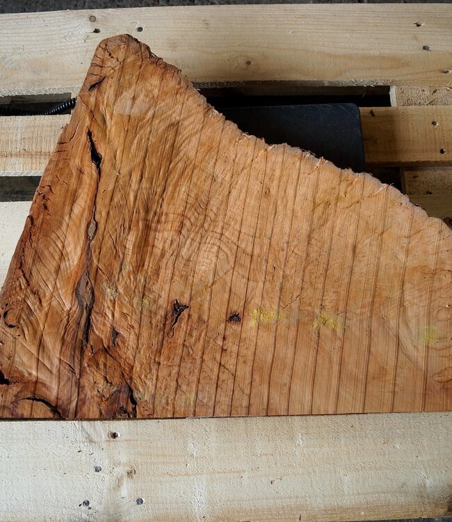 Madrona burl slab, approx. 630 x 500 x 40 mm, 12436