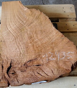 Madrona burl slab, approx. 680 x 560 x 40 mm, 12435