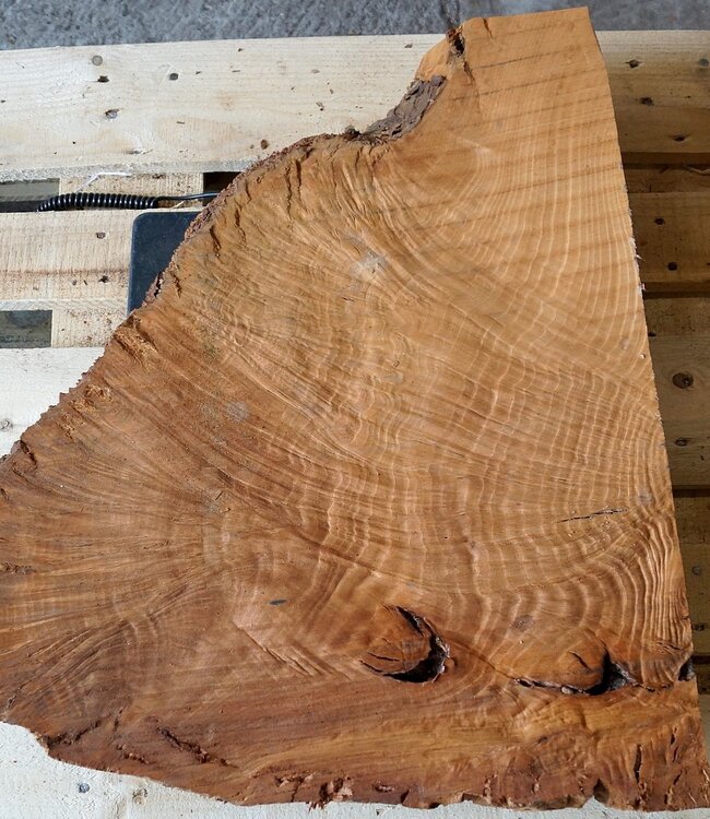 Madrona burl slab, approx. 680 x 560 x 40 mm, 12435