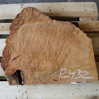 Madrona burl slab, approx. 550 x 590 x 40 mm, 12432