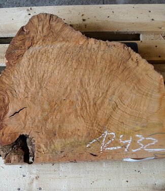 Madrona burl slab, approx. 550 x 590 x 40 mm, 12432