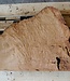 Madrona burl slab, approx. 550 x 590 x 40 mm, 12432