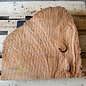 Madrona burl slab, approx. 560 x 540 x 40 mm, 12430