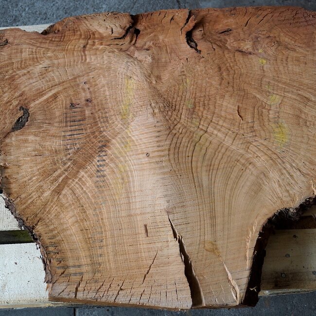 Madrona burl slab, approx. 1160 x 790 x 40 mm, 12429