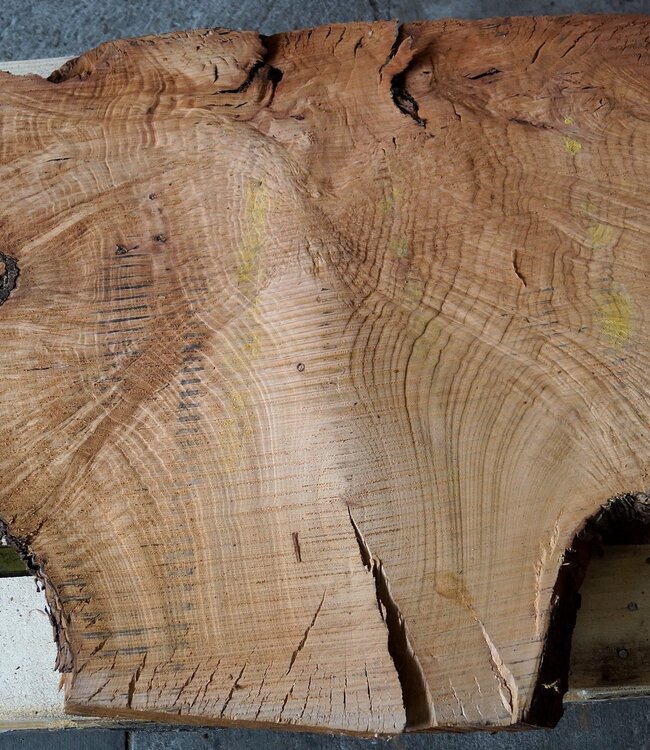 Madrona Maserplatte, ca. 1160 x 790 x 40 mm, 12429