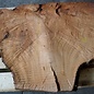 Madrona burl slab, approx. 1160 x 790 x 40 mm, 12429