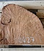 Madrona burl slab, approx. 520 x 500 x 40 mm, 12427