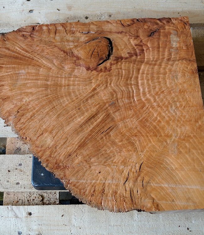 Madrona burl slab, approx. 520 x 500 x 40 mm, 12427