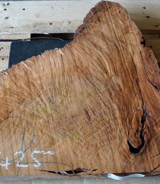 Madrona burl slab, approx. 700 x 600 x 40 mm, 12425