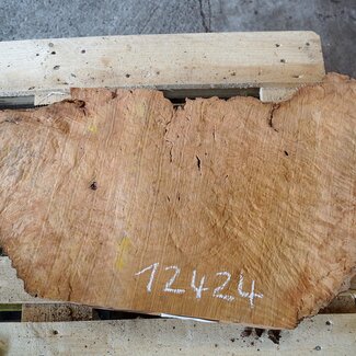 Madrona burl slab, approx. 1040 x 520 x 40 mm, 12424
