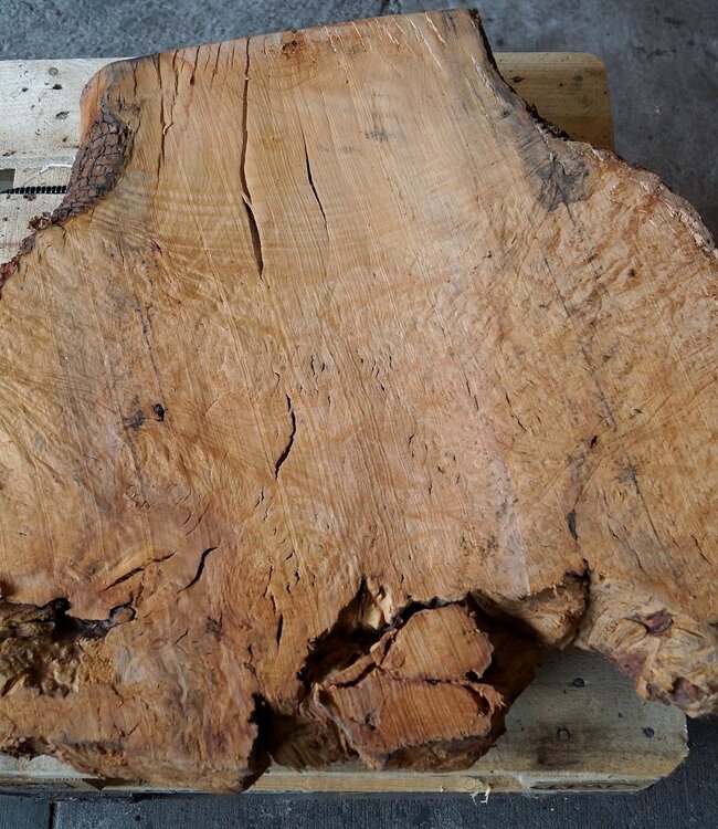 Madrona Maserplatte, ca. 1080 x 750 x 40 mm, 12421