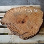 Madrona burl slab, approx. 800 x 650 x 40 mm, 12419