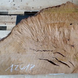 Madrona burl slab, approx. 690 x 570 x 40 mm, 12417