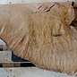 Madrona burl slab, approx. 690 x 570 x 40 mm, 12417